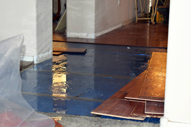 Professional Burst Pipe Water Damage technician working in Litchfield, OH